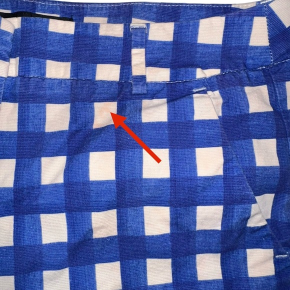 Weekend MaxMara Cigarette FITW13 Gingham Blue and White Checkered Pants US 4 - Picture 7 of 10